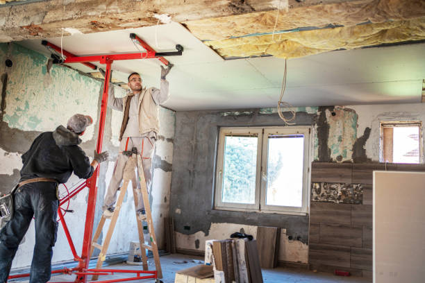 Best Local Insulation Services  in Oquawka, IL