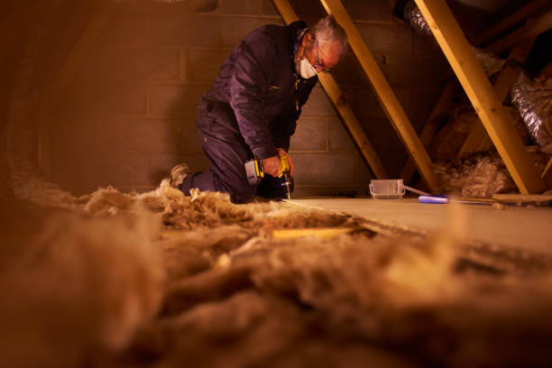 Insulation Inspection Services in Oquawka, IL
